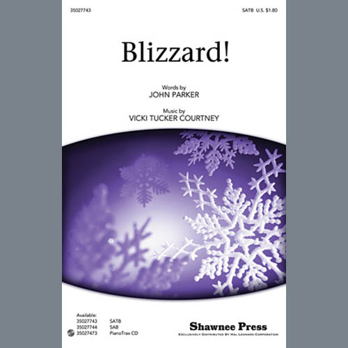 Product picture to: Blizzard