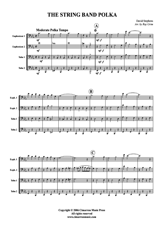 Product picture to: The String Band Polka David Stephens