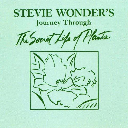 cover: Power Flower, Stevie Wonder