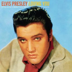 cover: Don't Leave Me Now, Elvis Presley