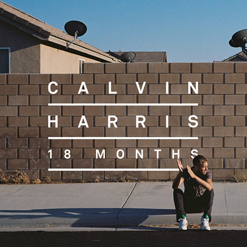 cover: Drinking From The Bottle (feat. Tinie Tempah), Calvin Harris, Gesang, Gitarre, Klavier