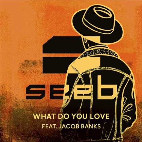 cover: What Do You Love (featuring Jacob Banks), Seeb, Jacob Banks, Gesang, Gitarre, Klavier