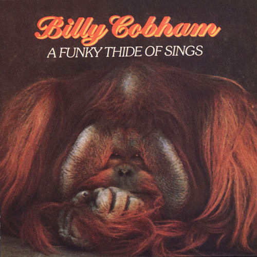cover: Light At The End Of The Tunnel, Billy Cobham, Klavier