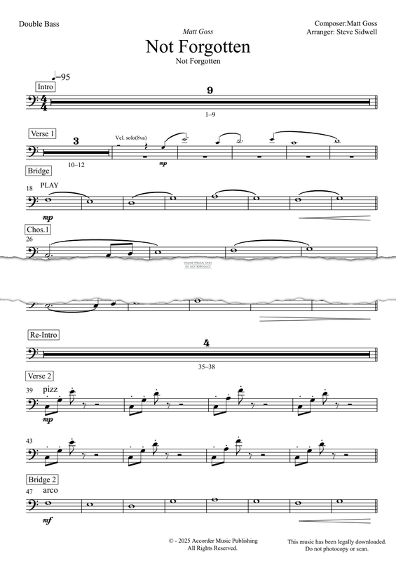 Produktgalerie: Seite 1 von 1 Not Forgotten, Matt Goss, Kontrabass