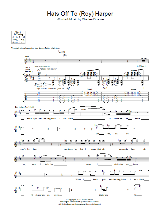 Produktgalerie: Seite 1 von 1 Hats Off To (Roy) Harper, Led Zeppelin, Gitarre