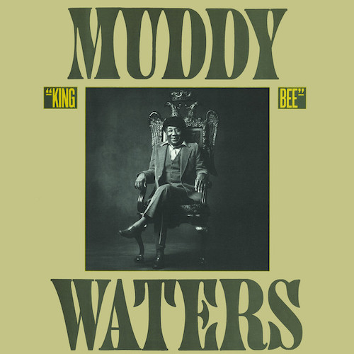 cover: Champagne And Reefer, Muddy Waters