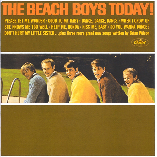 cover: When I Grow Up (To Be A Man), The Beach Boys, Melodieinstrument
