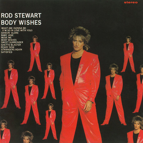 cover: Baby Jane, Rod Stewart, Gesang, Gitarre, Klavier
