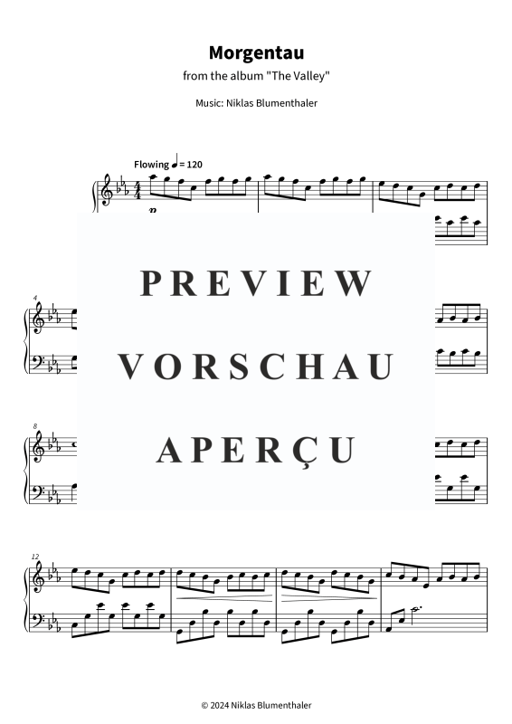 gallery: Morgentau - from the album The Valley, Niklas Blumenthaler, (Klavier Solo)