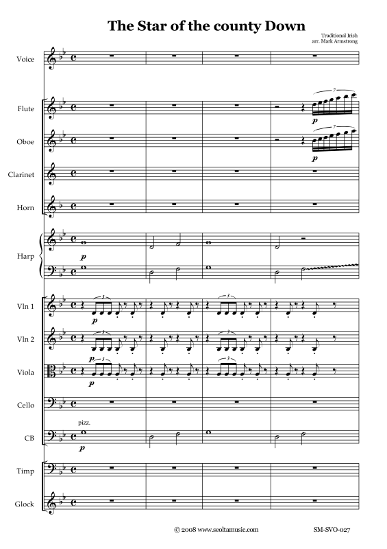 Produktgalerie: Seite 1 von 11 The Star of the County Down, , Solo Gesang und kleines Orchester