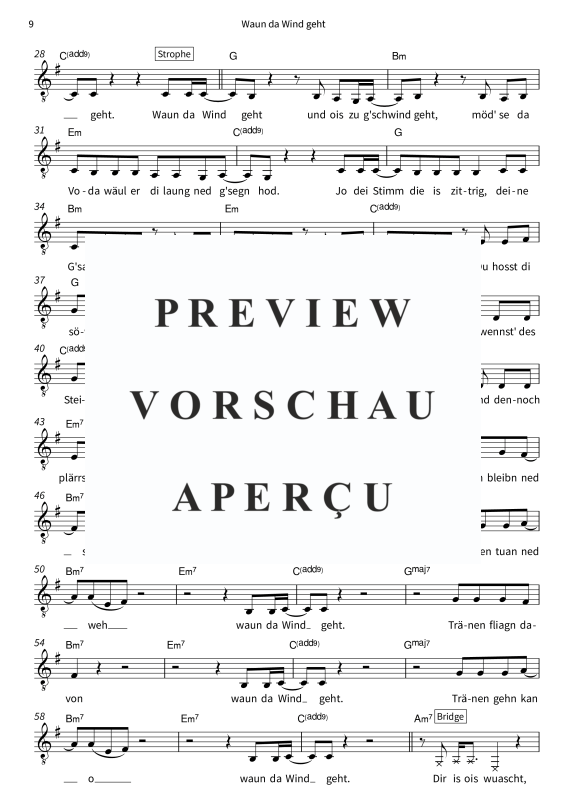 Produktgalerie: Seite 11 von 11 Austropop Schmäh - Leadsheets von Seiler und Speer, Seiler und Speer, Gesang & Akkorde