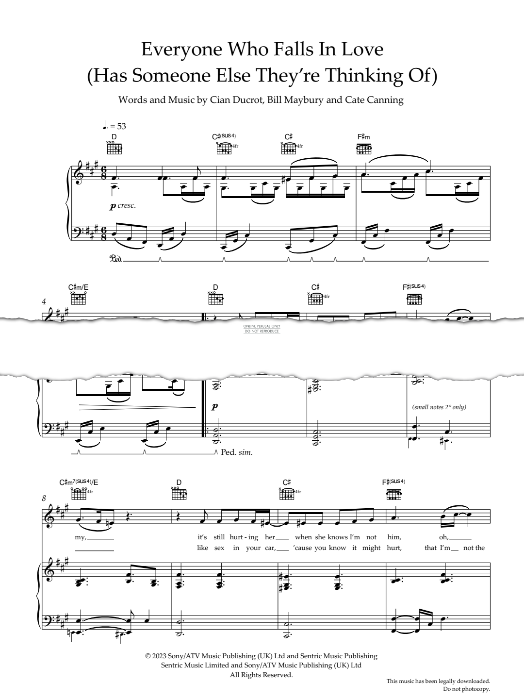 Produktgalerie: Seite 1 von 1 Everyone Who Falls In Love (Has Someone Else They're Thinking Of), Cian Ducrot, Gesang, Gitarre, Klavier