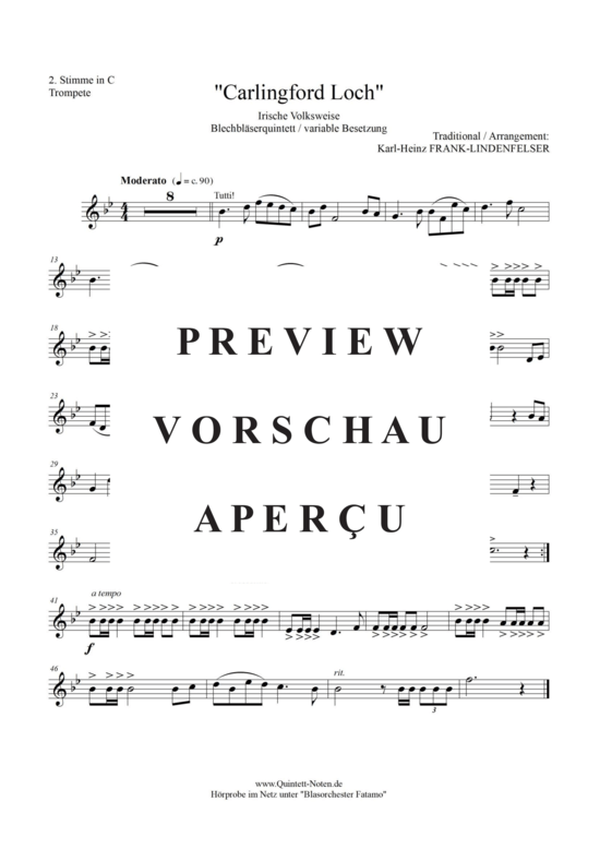 Produktgalerie: Seite 11 von 17 Carlingford Loch , Blasorchester Fatamo, (Blechbläser Quintett - flexible Besetzung)