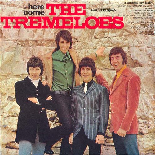 cover: Even The Bad Times Are Good, The Tremeloes, Gitarre