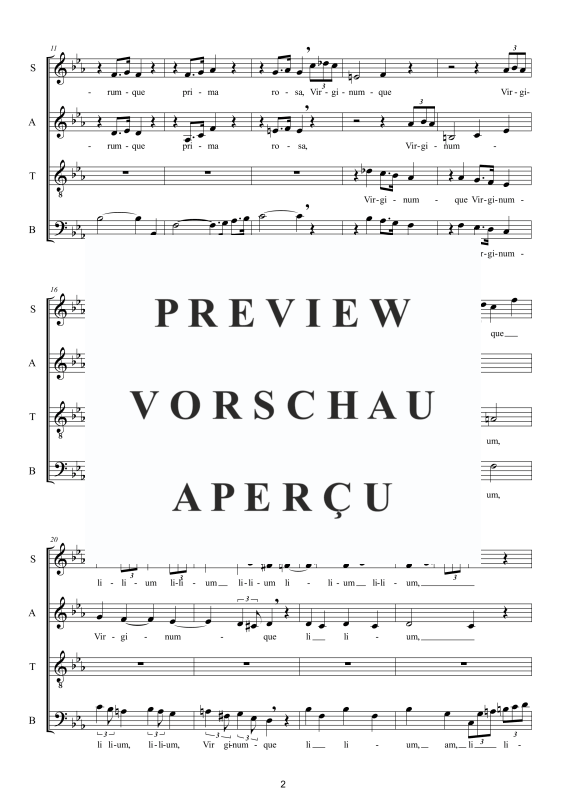 Produktgalerie: Seite 3 von 11 Ave Mater dolorosa - Sacred Motet, , Gemischter Chor a capella