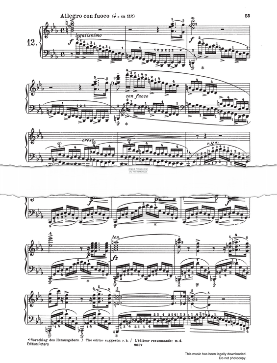 Produktgalerie: Seite 1 von 1 Etüde Op.10 No.12, Frederic Chopin, Klavier