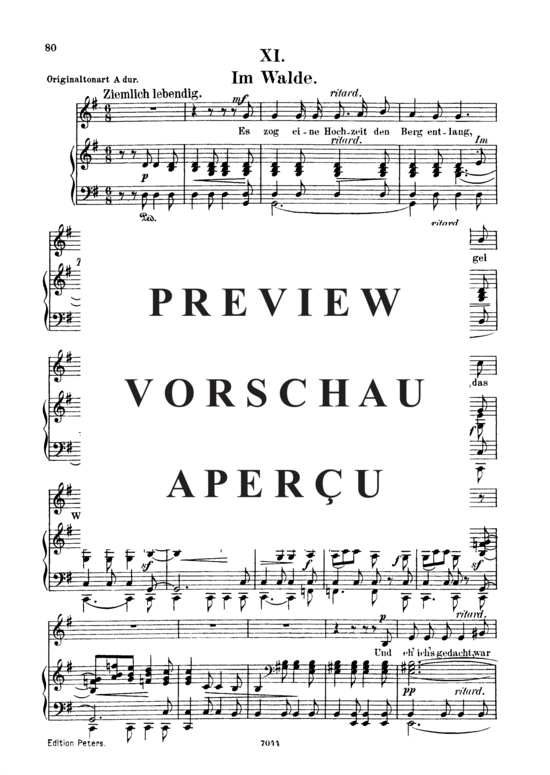 gallery: Im Walde, Op.39 No.11 , , (Gesang tief + Klavier)