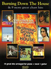 cover: I Don't Know What You Want But I Can't Give It Anymore, Pet Shop Boys, Gesang, Gitarre, Klavier