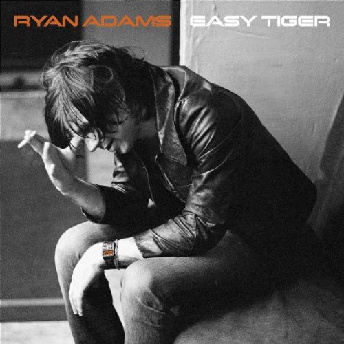cover: Everybody Knows, Ryan Adams, Gitarre