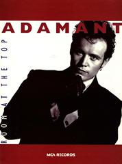 cover: Room At The Top, Adam Ant, Gesang, Gitarre, Klavier