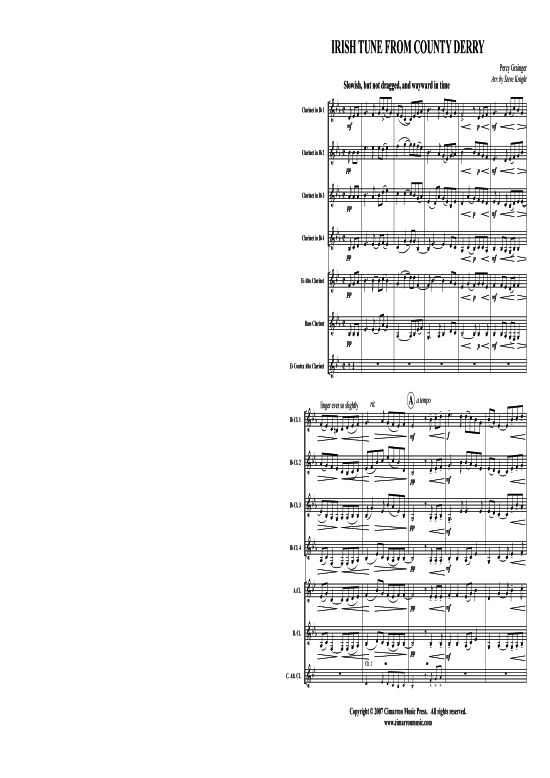 Irish Tune From County Derry 