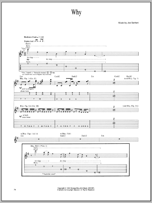 Produktgalerie: Seite 1 von 1 Why, Joe Satriani, Gitarre