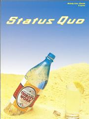 cover: I Didn't Mean It, Status Quo, Gesang, Gitarre