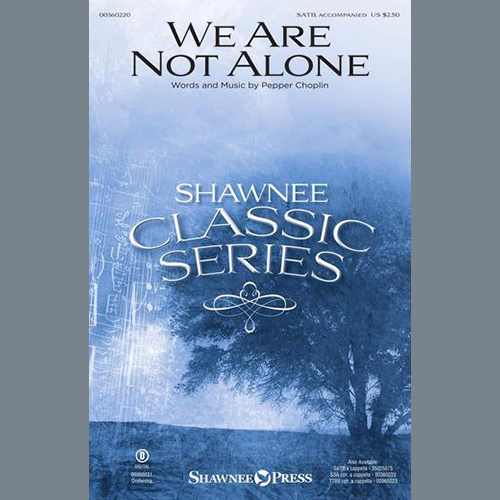 Product picture to: We Are Not Alone