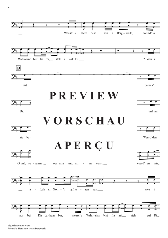 gallery: WeusD´ A Herz Hast Wia Bergwerk , Fendrich, Rainhard, (Posaune / Bariton)