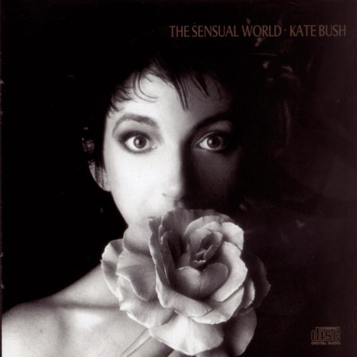 cover: This Woman's Work, Kate Bush, Gesang, Gitarre, Klavier