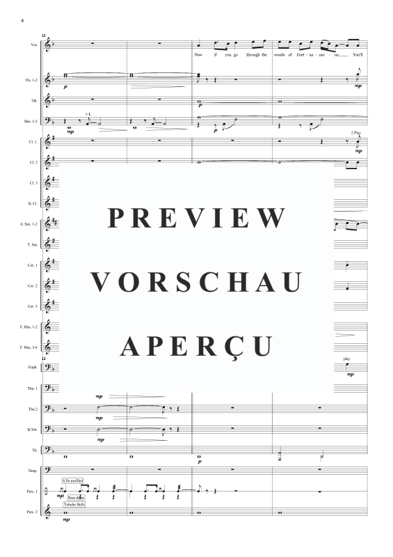 Produktgalerie: Seite 7 von 11 Gortnamona, , Solo Gesang und Concert Band