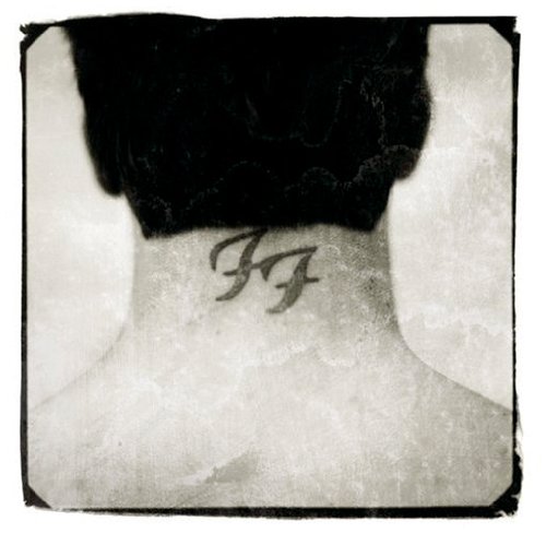 cover: Learn To Fly, Foo Fighters