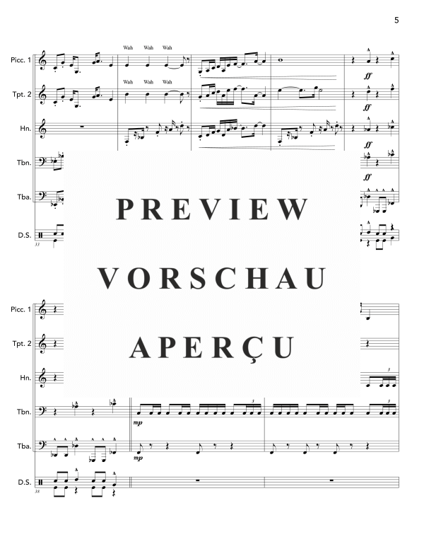 Produktgalerie: Seite 9 von 11 Peacockery, , (Blechbläser Quintett und Drum Set)