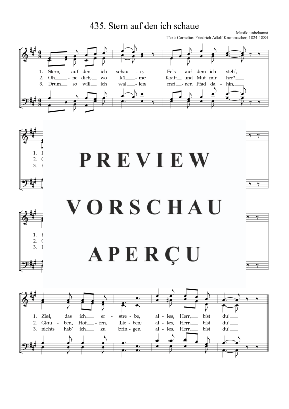 Produktbild zu: Stern auf den ich schaueAnonym um 1924