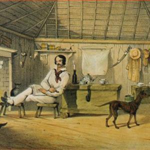 cover: The Wild Colonial Boy, Australian Folksong, Gesang, Gitarre, Klavier