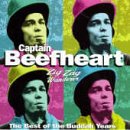 cover: I'm Glad, Captain Beefheart