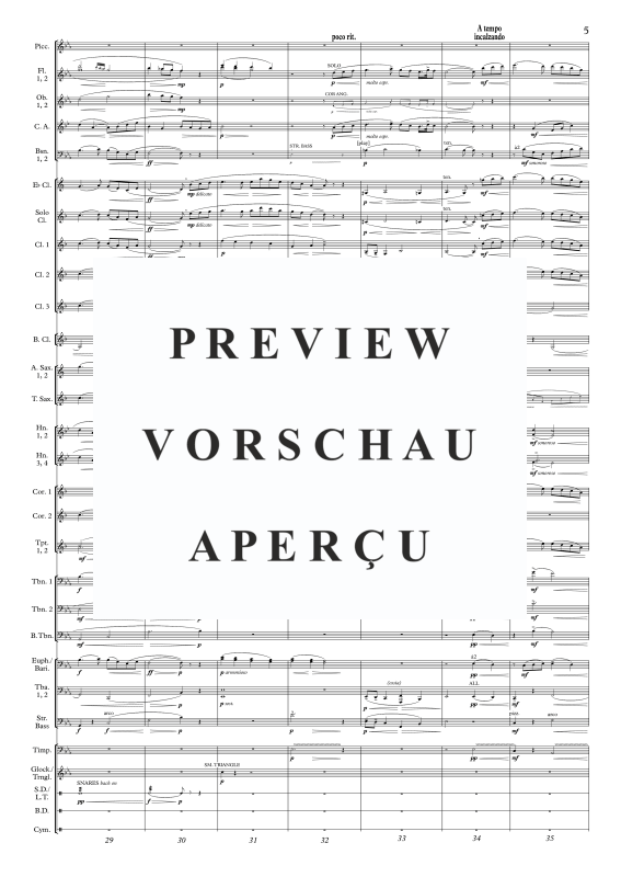 Produktgalerie: Seite 10 von 11 Lied aus County Derry, , Holzbläser Concert Band