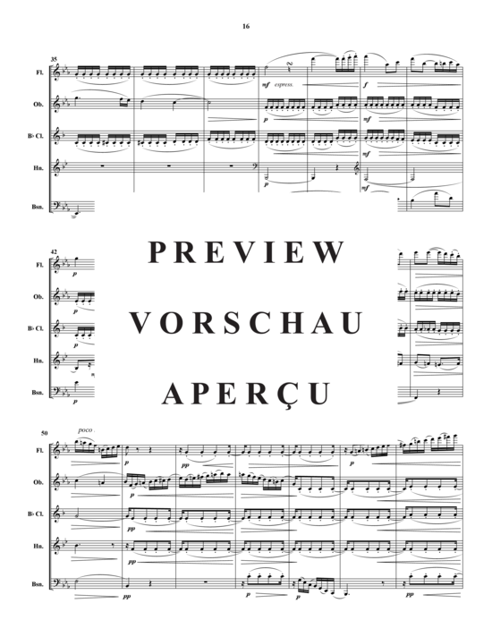 Produktgalerie: Seite 17 von 21 Quintette Pour Instruments a Vent , , (Holzbläser-Quintett)