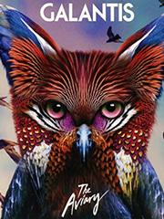 cover: Bones, Galantis