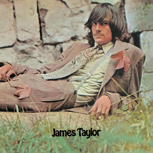 cover: Night Owl, James Taylor, Gesang, Gitarre, Klavier