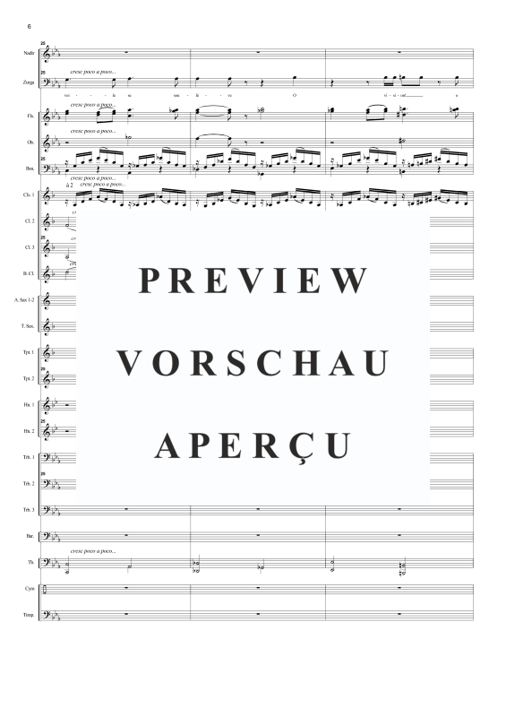 Produktgalerie: Seite 9 von 11 Au fond du temple saint (aus Die Perlenfischer), , Tenor/Bass Solo und Concert Band
