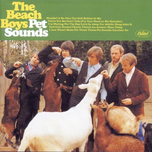 cover: Pet Sounds, The Beach Boys, Gesang, Gitarre, Klavier