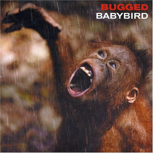 cover: Fireflies, Babybird, Gitarre