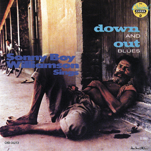 cover: Don't Start Me To Talkin', Sonny Boy Williamson, Gitarre