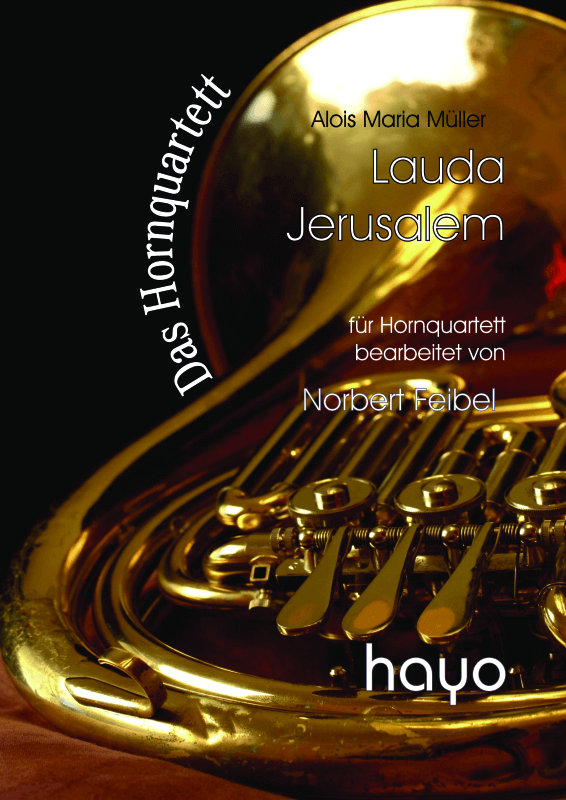 Produktbild zu: Lauda Jerusalem