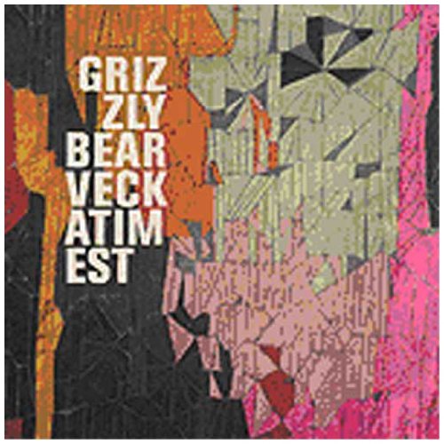cover: Southern Point, Grizzly Bear, Gitarre