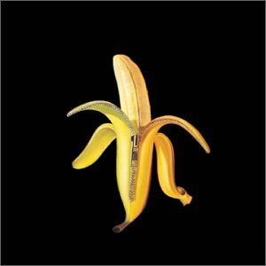 cover: We Used To Be Friends, The Dandy Warhols