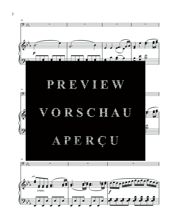 gallery: Concerto in E-flat Major, K. 417, , (Fagott und Klavier)