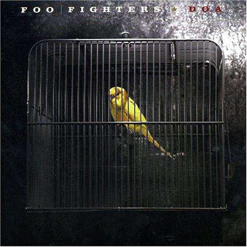 cover: Skin And Bones, Foo Fighters, Gitarre