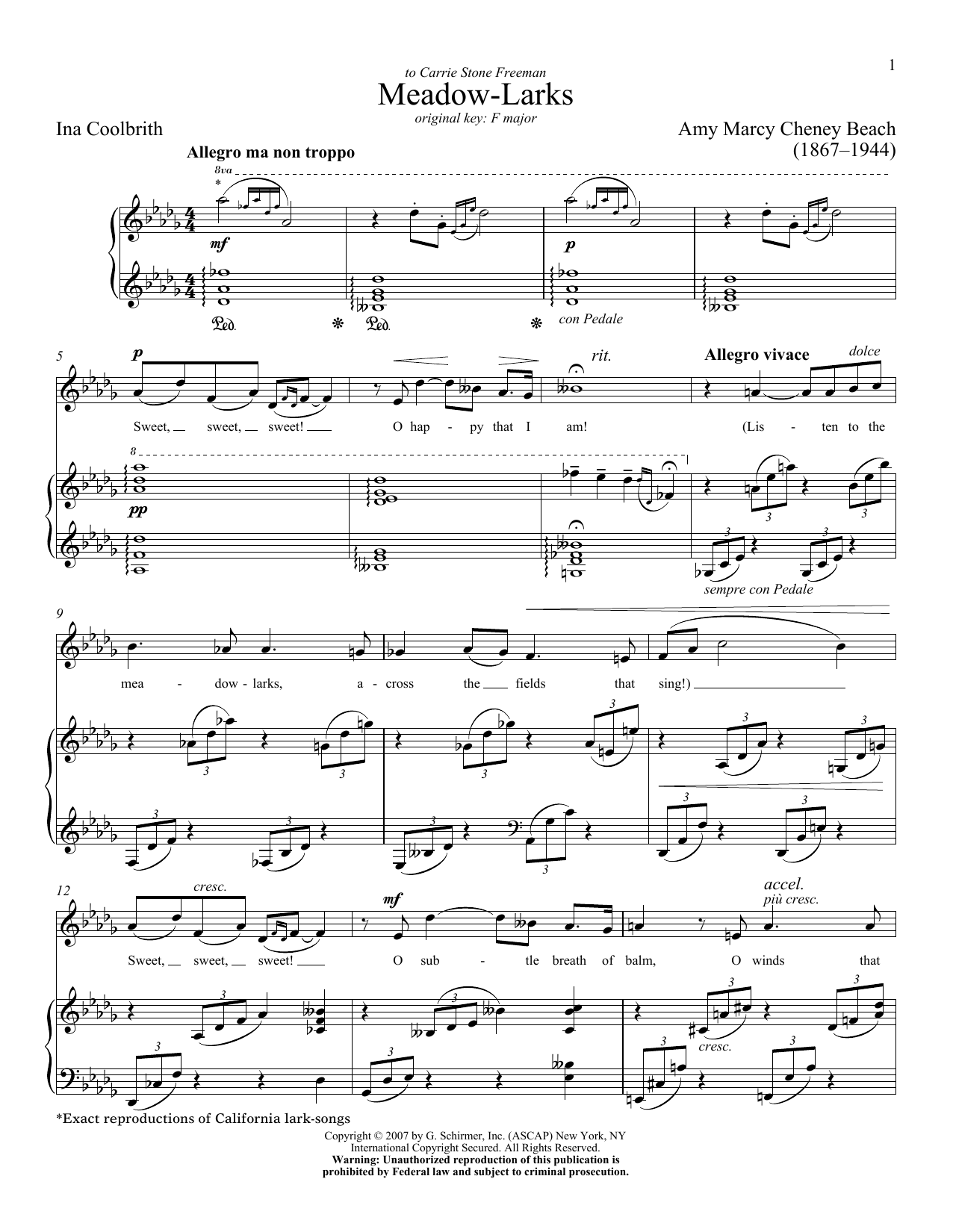 Produktbild zu: Meadow-Larks